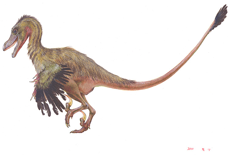 1velociraptor.jpg